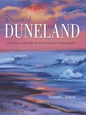 cover image of Dreams of Duneland